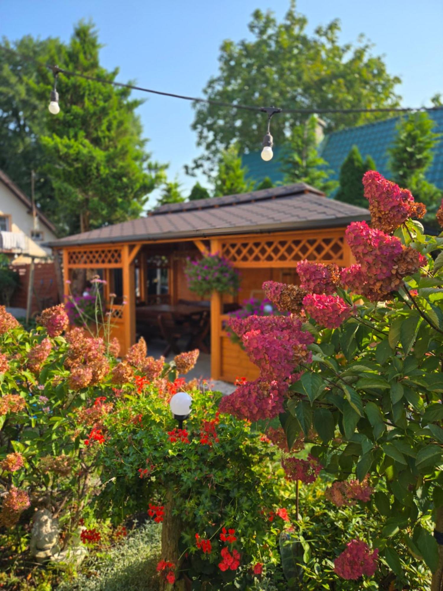 U Eli I Jurka Apartamento Sztutowo Exterior foto